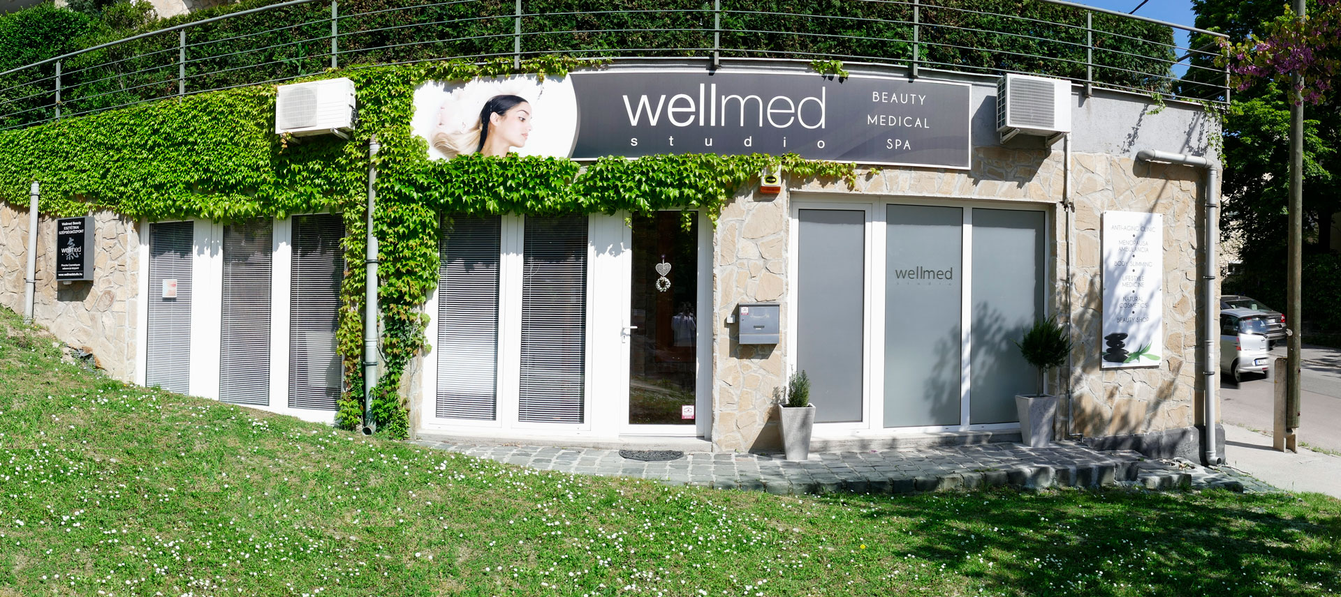 Wellmed Beauty & Medical Spa